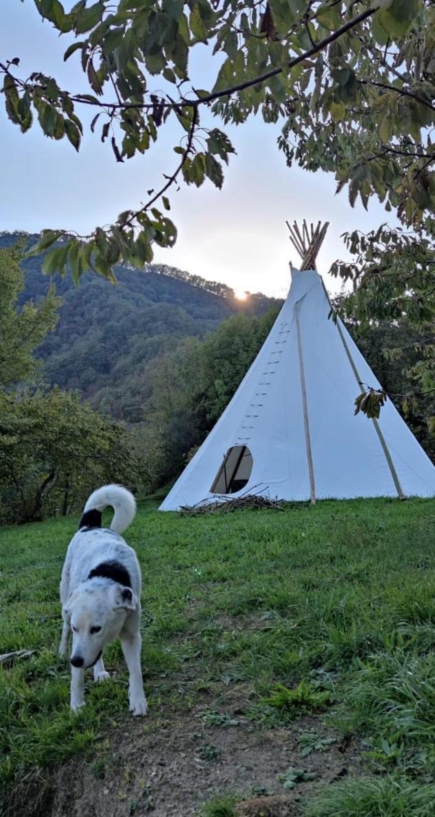 @Gatetothewild Bed and Breakfast Coreglia Ligure Buitenkant foto